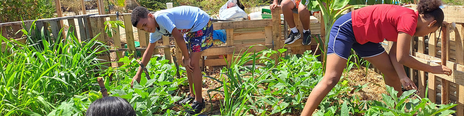 nature-cooking-school-bonaire-slider-img-3